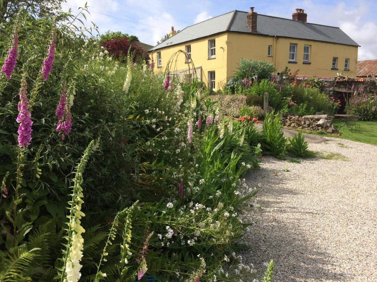 Frizenham Farmhouse Little Torrington Extérieur photo