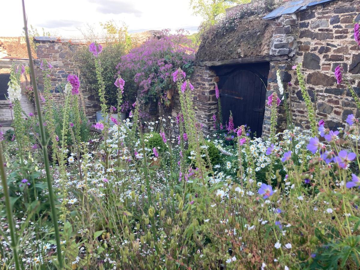 Frizenham Farmhouse Little Torrington Extérieur photo